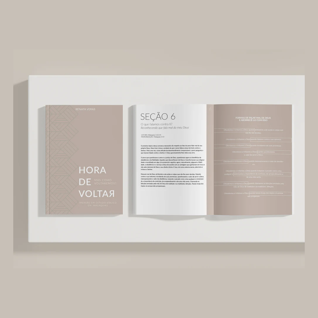 Mockup 01 - Hora de Voltar (e-book)