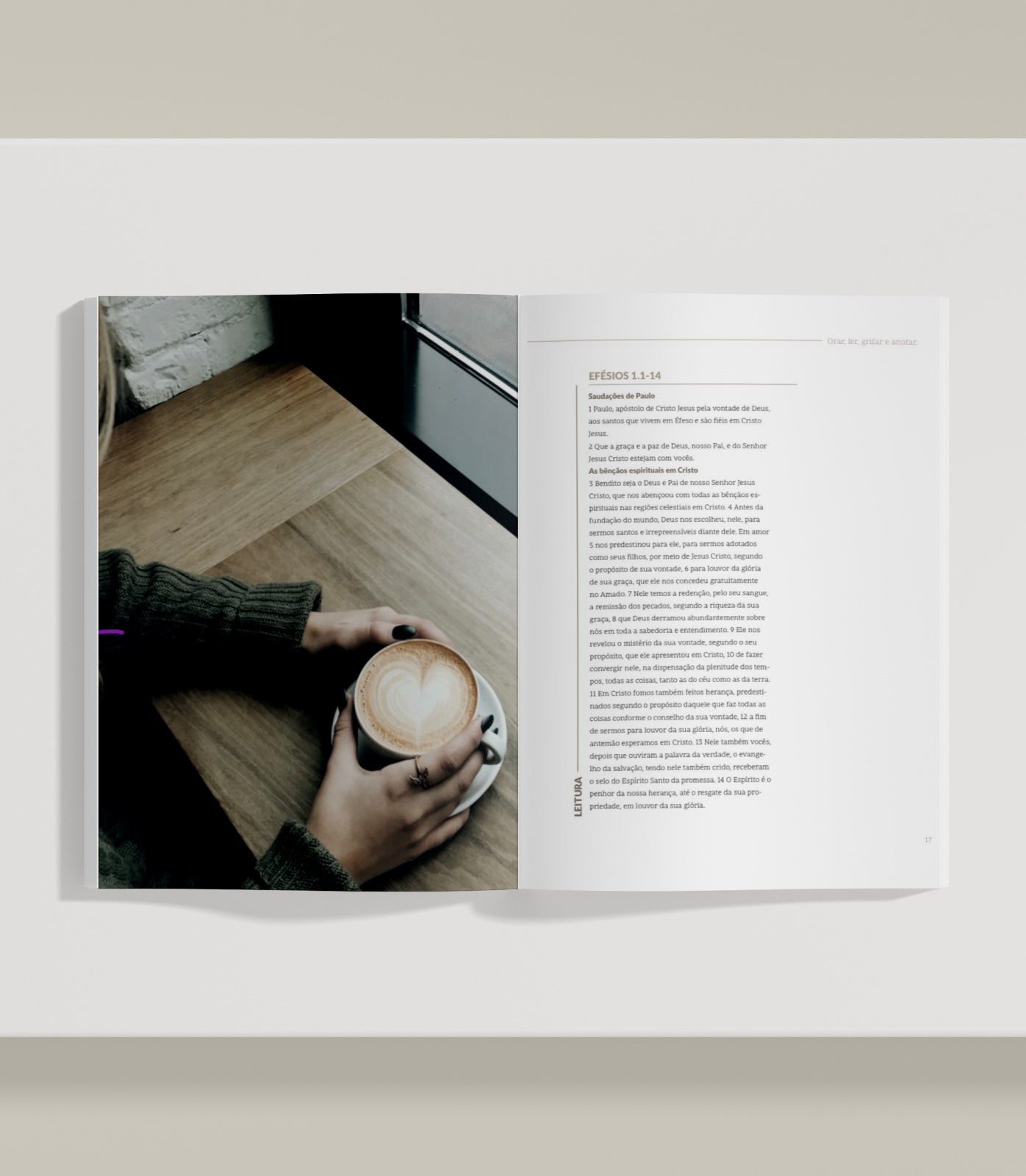 Fortes! Bible Guide em Efésios (físico)