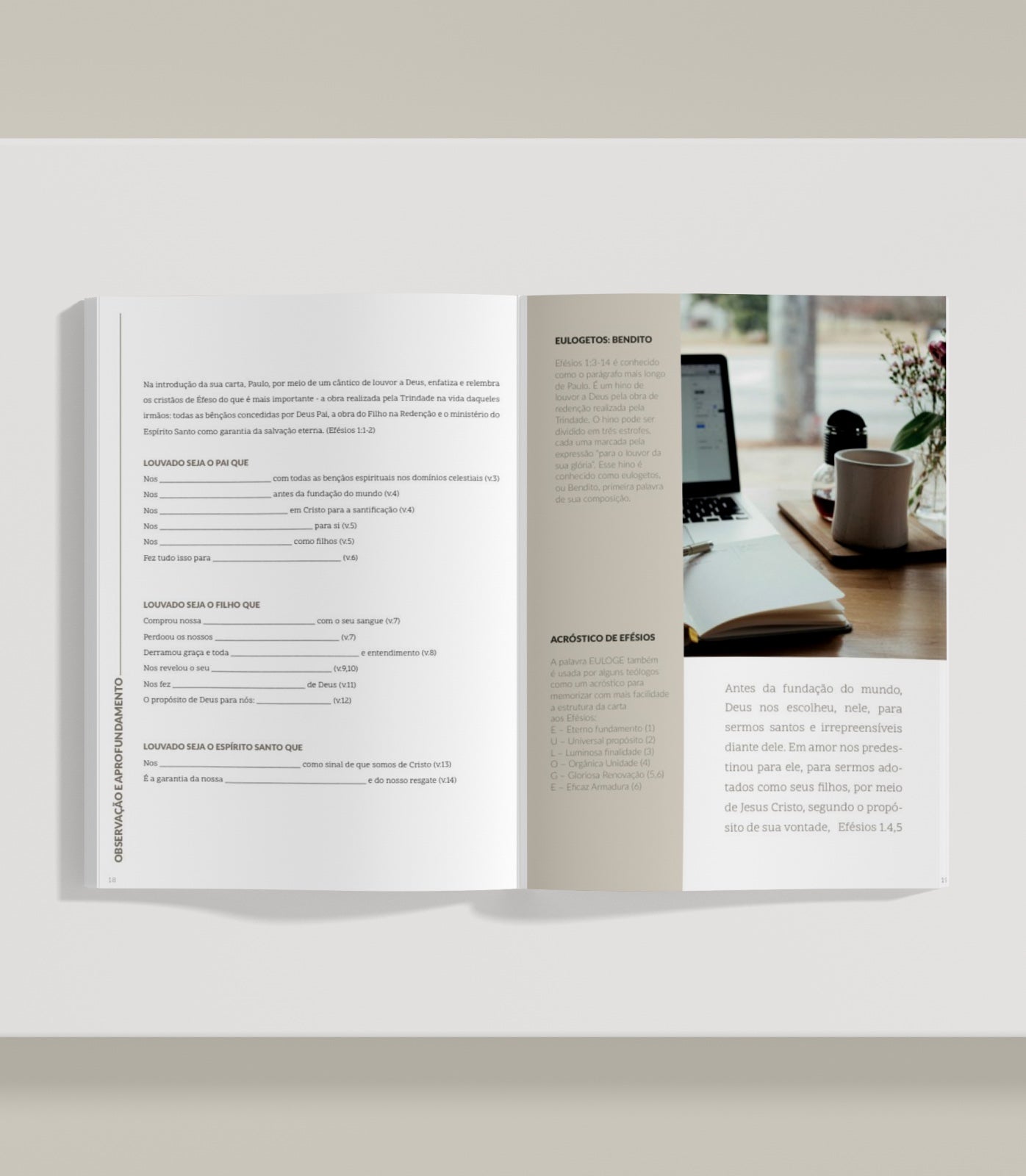 Fortes! Bible Guide em Efésios (físico)